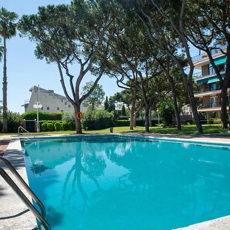 Wonderful In Gava. Barcelona * Хава