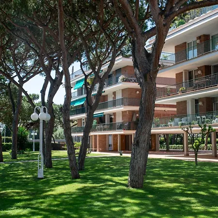 Wonderful In Gava. Barcelona *